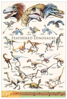 Immagine prodotto di Dinosauri piumati - 61x91,5 cm - Poster
