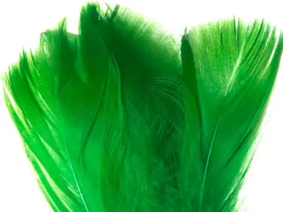 Produktbild von Dekolo Federn zur Dekoration oder für die Inneneinrichtung weich und flauschig im Griff 6-10cm 190 Stück Grün