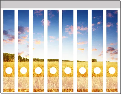 Produktbild von Wallario Ordnerrücken Sticker, selbstklebend für schmale Ordner, 8 Stück, Motiv Weizenfeld unter blauem Himmel