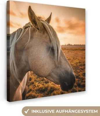 Produktbild von MuchoWow® - Leinwandbilder - Pferd - Tiere - Porträt, Wandbild, Wanddeko Bilder Wohnzimmer, 20x20 cm