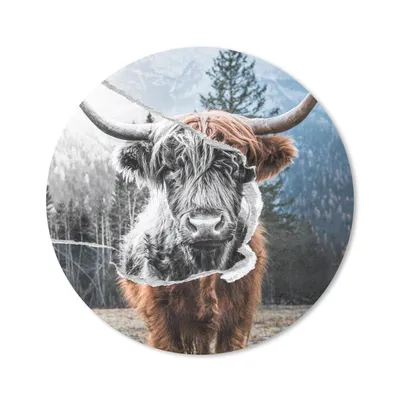 Produktbild von MuchoWow® Mauspad Mousepad Tiere - Schottischer Highlander - Stier 40x40 cm - Mousepads - Maus Mat - Pad - Mausunterlage - Schreibtisch Accessoires