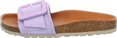 Image de Verbènes REIKO RODA violet pourpre