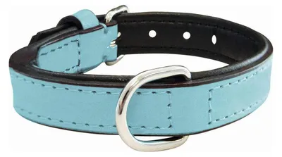 Productafbeelding van Hondenhalsband Gloria, met zachte padding, blauw (45 x 2 cm)