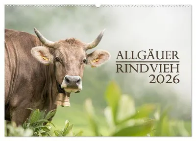 Produktbild von Allgäuer Rindvieh 2026 (Wandkalender 2026 DIN A2 quer), CALVENDO Monatskalender