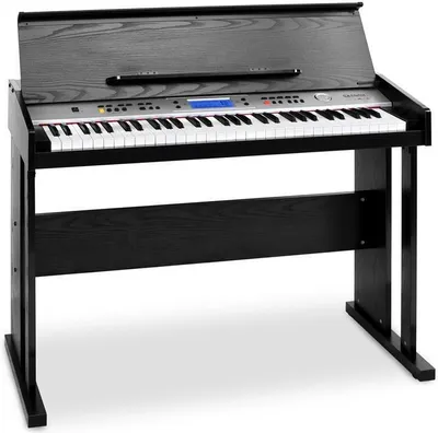 Produktbild von Schubert Carnegy-61 - Keyboard, E-Piano, 61 Tasten, 100 Rhythmen, 136 Instrumente, 8 Demosongs, Aufnahme-Funktion, Lernfunktion, Stereo-Lautsprecher, Kopfhörer-Ausgang, Doppelfunktion, schwarz