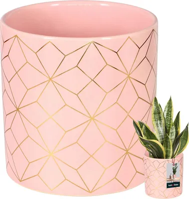 A pink ceramic planter with a gold geometric pattern is shown. A smaller version of the planter with a snake plant is also visible in the lower right corner.