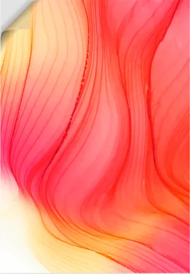 Produktbild von ARTland Wandbild, selbstklebend KIRSCHBLÜTEN Größe: 70x100 cm