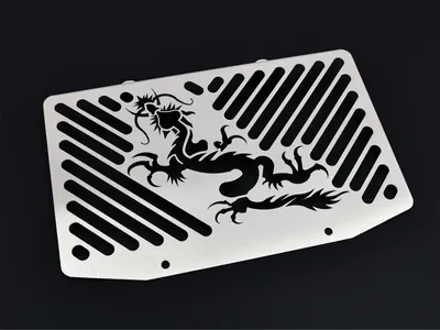 Produktbild von ZIEGER Kühlerabdeckung kompatibel mit Kawasaki ER-6 n | f BJ 2005-08 Dragon silber