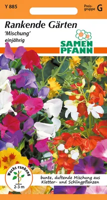 Artikelbild 1 von 'Blumenmischung Rankende Gärten' aus der Kategorie Blumensamenmischung