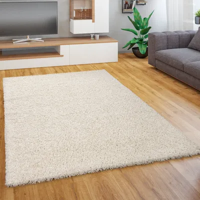 Produktbild von Teppich Wohnzimmer Schlafzimmer Hochflor Shaggy Flokati Einfarbig Weich Modern Grösse 60x100 cm