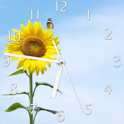 Produktbild von Wallario Design Wanduhr Sonnenblume mit Schmetterling aus Echtglas, Größe 20 x 20 cm