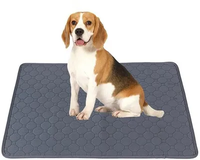 Immagine prodotto di Vassoio per l'addestramento del cane - Toilette per cani - Impermeabile, lavabile e riciclabile - 70 x 50 cm - Grigio