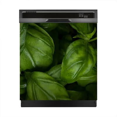 Produktbild von Magnete Dekorative 60x60 cm Küche Magnetmatte Spülmaschine - frisches grünes Basilikum