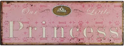 Produktbild von Nostalgie Blechschild "Our Little Princess" Dekoschild 36x13cm