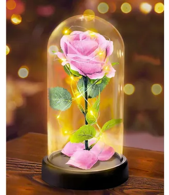 Productafbeelding van Eeuwige roos in een glazen vaas met lichtjes, roze, 1 roos, cadeau voor vrouwen