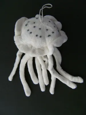 Produktbild von Plüschtier Qualle 17 cm, Kuscheltiere Stofftiere Meerestiere Ozean Quallen Fische