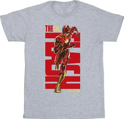 Produktbild von DC Comics - T-Shirt für Herren BI47886 (5XL) (Grau)
