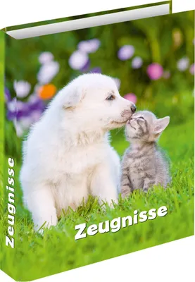 Obrázek produktu pro RNK Verlag 46755 RNK Verlag Kroužková vazba "Pes s kočkou", DIN A4