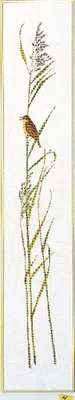 Produktbild von Eva Rosenstand Kreuzstich Set "Schilfrohrsänger", Zählmuster, 25x136cm