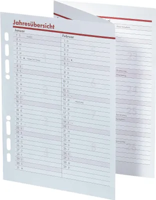 Produktbild von bsb Ersatzeinlage Jahresübersicht 2021 - Größe: circa A5-6-Fach Lochung - für bsb Manager Terminplaner Organizer, 02-0570-15