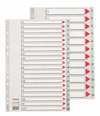 Produktbild von Esselte Maxi A4 Kunststoffordner - A - Z / grau