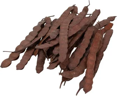 Produktbild von Deko Bohnen-Schote Natur, Länge 20-25 cm verpackt im Beutel mit 200g | Anadenanthera macrocarpa
