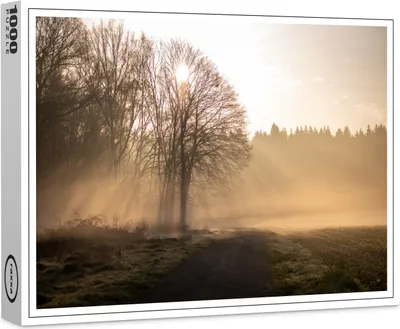 Produktbild von raxxa Premium-Puzzle "Sonnenaufgang", 1000 Teile