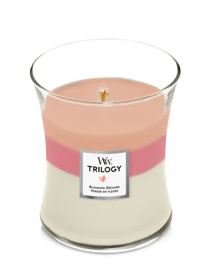 Obrázek produktu pro Vonná svíčka váza Trilogy Blooming Orchard 275 g