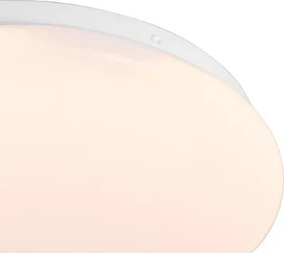 Produktbild von Moderne Deckenleuchte Weiß 26 cm inkl LED Iene