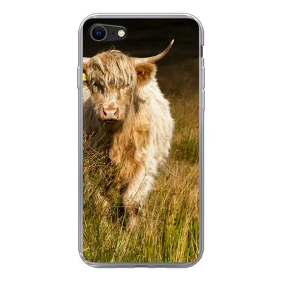 Produktbild von MuchoWow® Handyhülle Schutzhülle Hülle für iPhone 8 Schottische Highlander - Licht - Gras - Tiere Silikon Softcase Handy Hülle - Schutzhaube