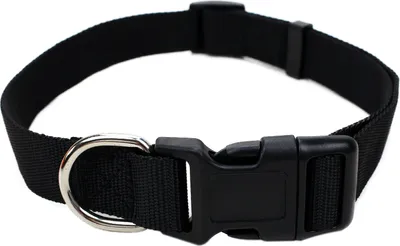 Produktbild von Robustes Hundehalsband aus Nylon – stufenlos verstellbar, leicht & bequem – für Welpen, kleine & große Hunde – S, M & L Größe L Schwarz
