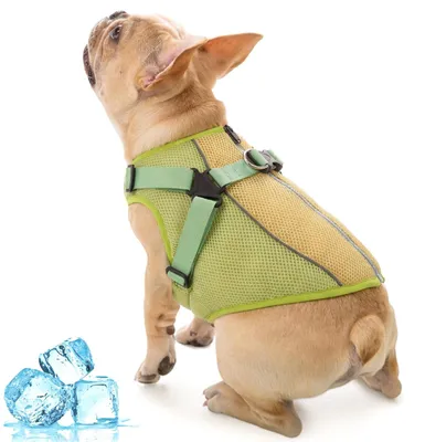 Produktbild von Hundekühlweste – Atmungsaktives Mesh-Material – Grün, Größe M