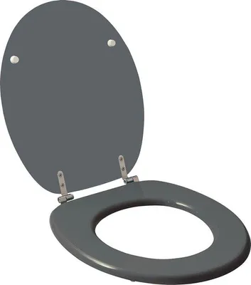 Produktbild von Famanu WC-Sitz Duroplast mit Schnellverschluss - glänzend hellgrau