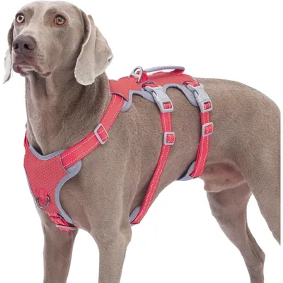 Immagine prodotto di Imbracatura per cani, colore rosso, taglia XL, antiscappamento, con maniglia, riflettente, regolabile