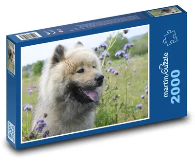 Obrázek produktu pro martinpuzzle - Puzzle 2000 - Pes Eurasier v květinách