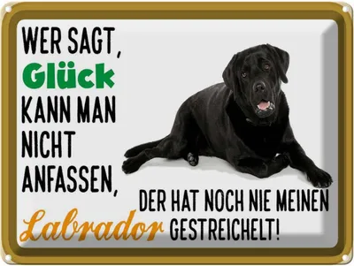 Produktbild von vianmo Blechschild 30x40 cm Glück nicht anfassen Labrador Hund