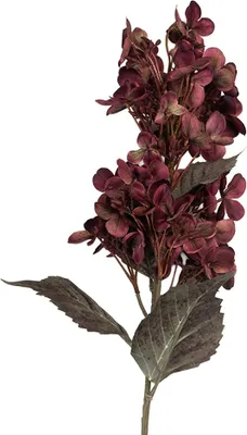 Image de Clayre & Eef Fleur artificielle 8x8x72 cm Violet Plastique