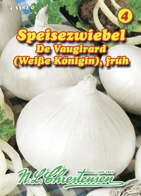 Produktbild von Zwiebel Weiße Königin | Zwiebelsamen von N.L. Chrestensen