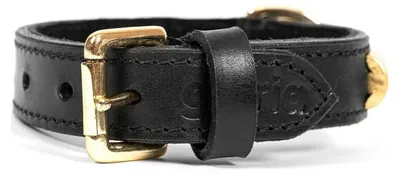 Image de Collier pour chien Gloria Duna Noir Doré (50 x 2,5 cm)