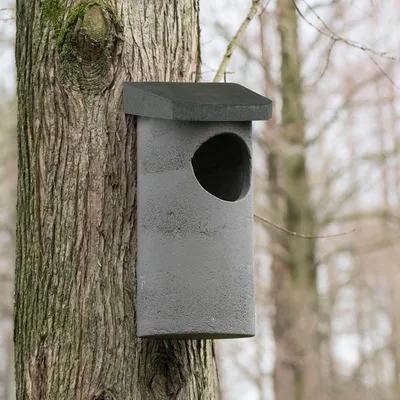 Produktbild von Nistkasten Waldkauz WoodStone