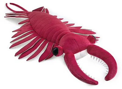 Image de Peluche Anomalocaris - Animal marin du Cambrien réaliste, 53 cm