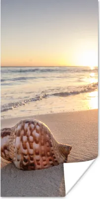 Produktbild von MuchoWow® Poster Muschel - Strand - Himmel 40x80 cm - Dekoration