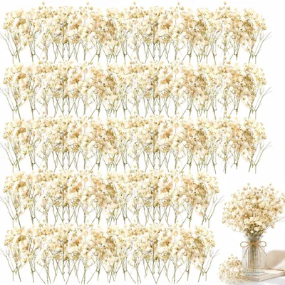 Trockenblumen, 50 Stück weiße Baby-Sternblumen für DIY