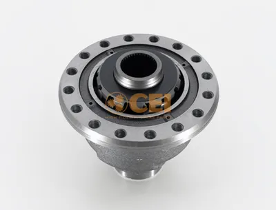 Produktbild von Reparatursatz, Differential C.E.I 199.324