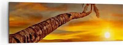 Produktbild von Bild auf Leinwand - Leinwandbild - Palme Landschaft Sonne - 160x50cm - Wand Bild - Wanddeko - Leinwanddruck - Bilder - Kunstdruck - Wanddekoration - Leinwand bilder - Wandkunst - AB160x50-0162