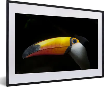 Produktbild von MuchoWow® Gerahmtes Poster Tukan - Vogel - Schnabel 60x40 cm - Poster mit Schwarzem Bilderrahmen Wandposter Rahmen Foto Bilder - Schlafzimmer - Plakat in Rahmen - Drucken