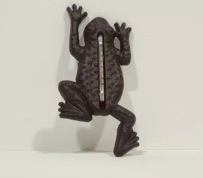 Produktbild von HOMESCAPES Rustikales Wand-Thermometer aus Gusseisen im Frosch-Design