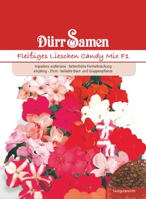 Produktbild von Dürr-Samen - Fleißige Lieschen Mischung F1 einjährig 35 cm - Saatgut - 1021