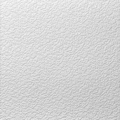 Produktbild von Deckenplatte EPS AP103 50 x 50 x 1 cm 2 m² im Pack