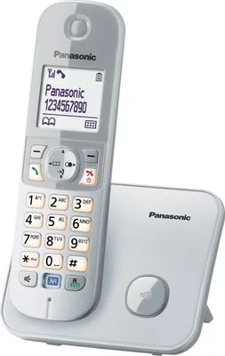 Image de Panasonic KX-TG6811GS perlsilber